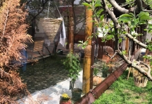 Fotografia 19 — Inchidere Terasa Constanta